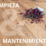 HP MANUTENZIONE SP