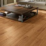 parquet suelo laminado