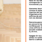 El abecedario del parquet 1