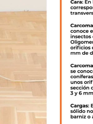 El abecedario del parquet 1