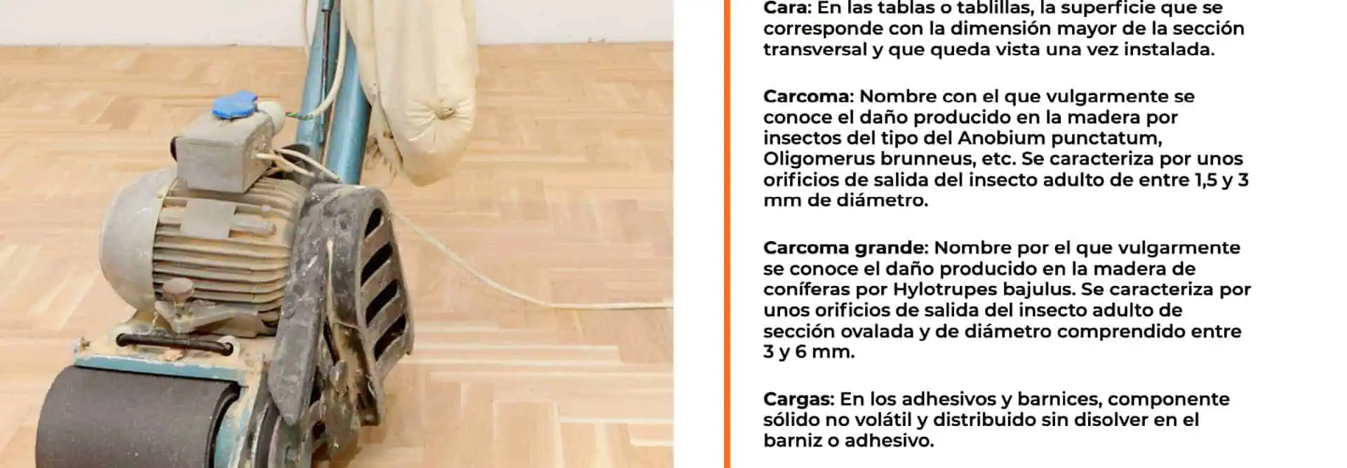 El abecedario del parquet