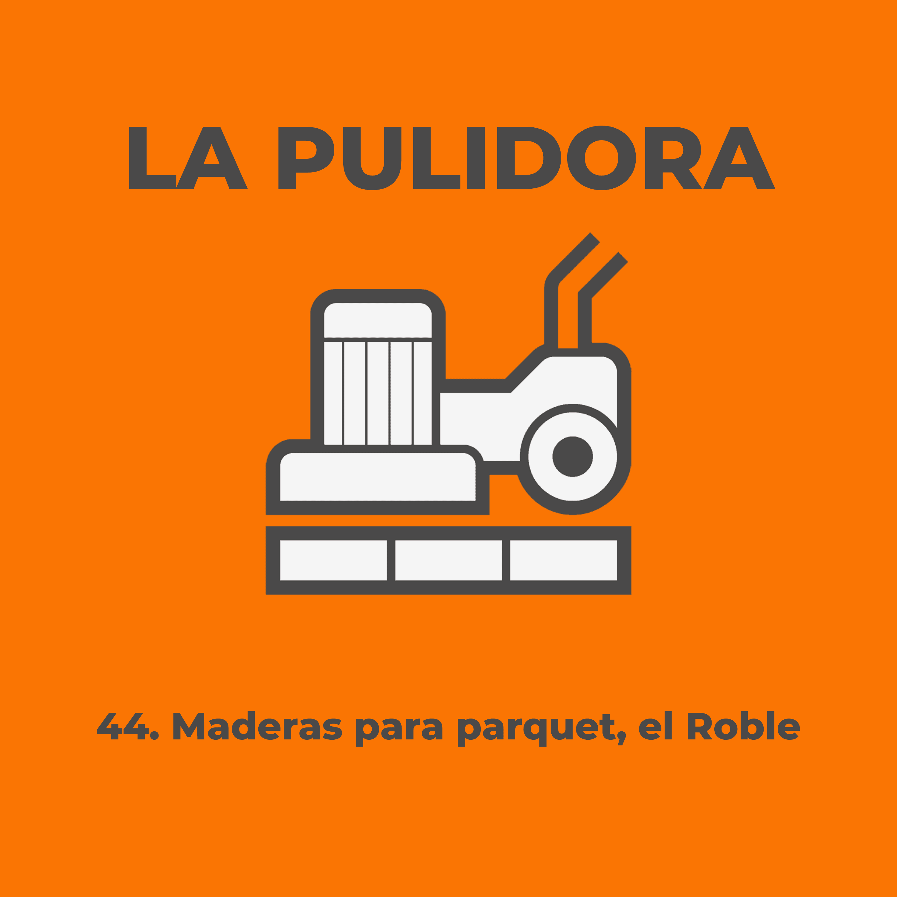 44 Maderas para parquet el roble