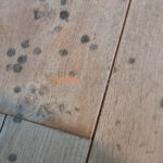 Manchas en una tarima