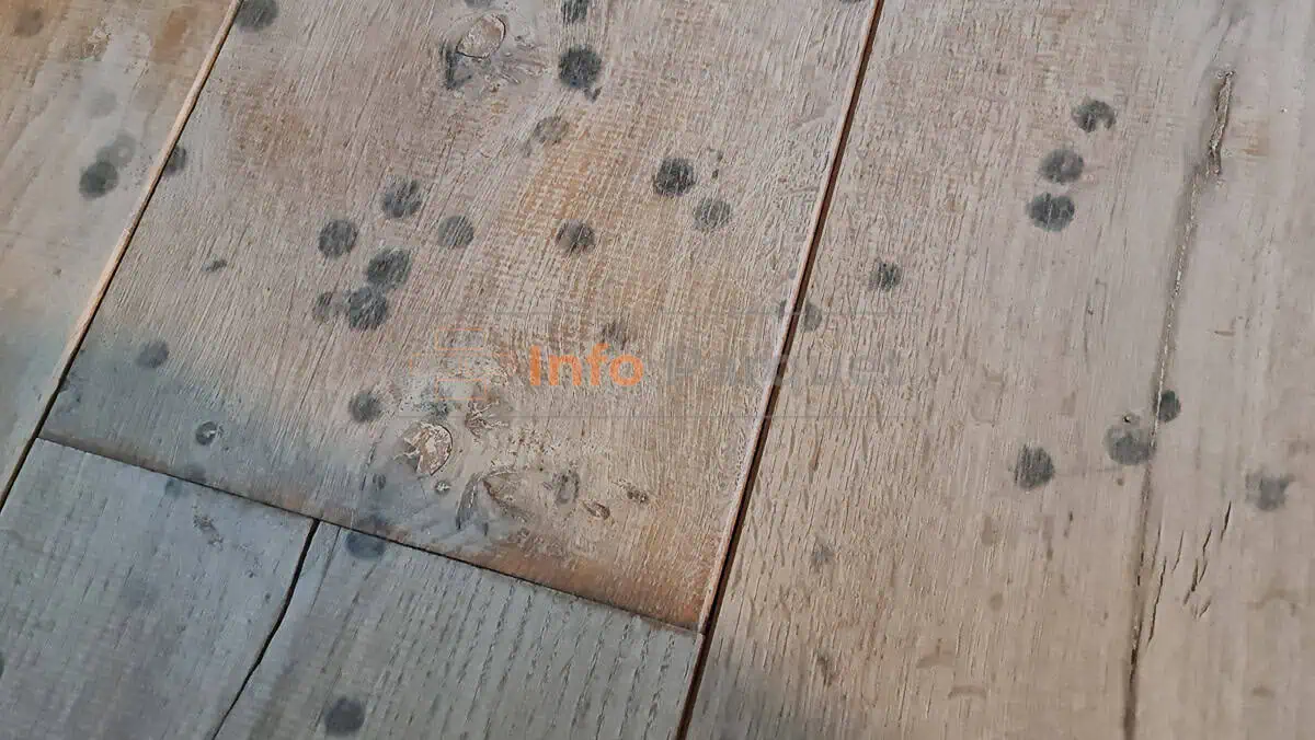 Manchas en una tarima