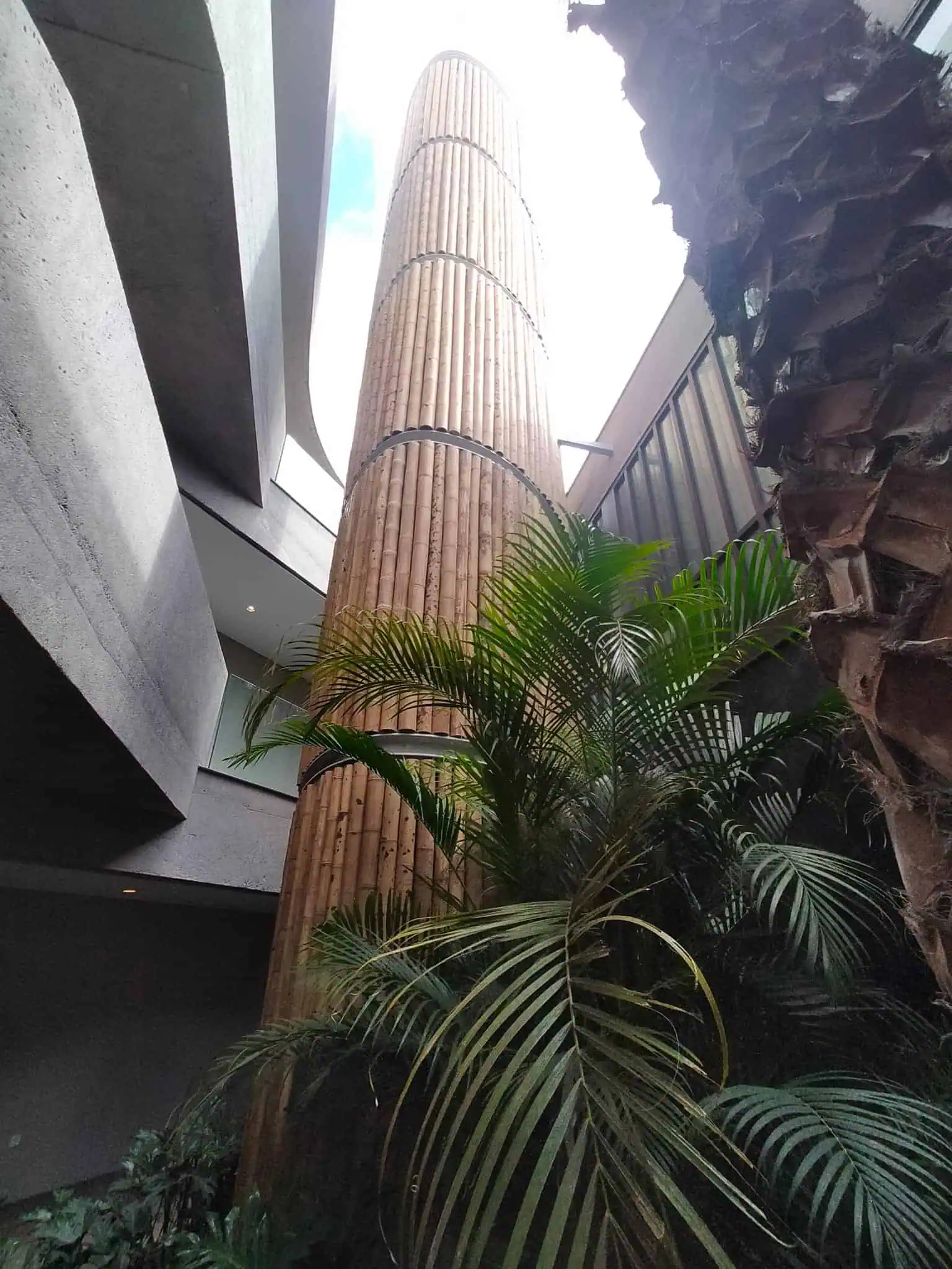 8. Stoa Cana de bambu Guadua