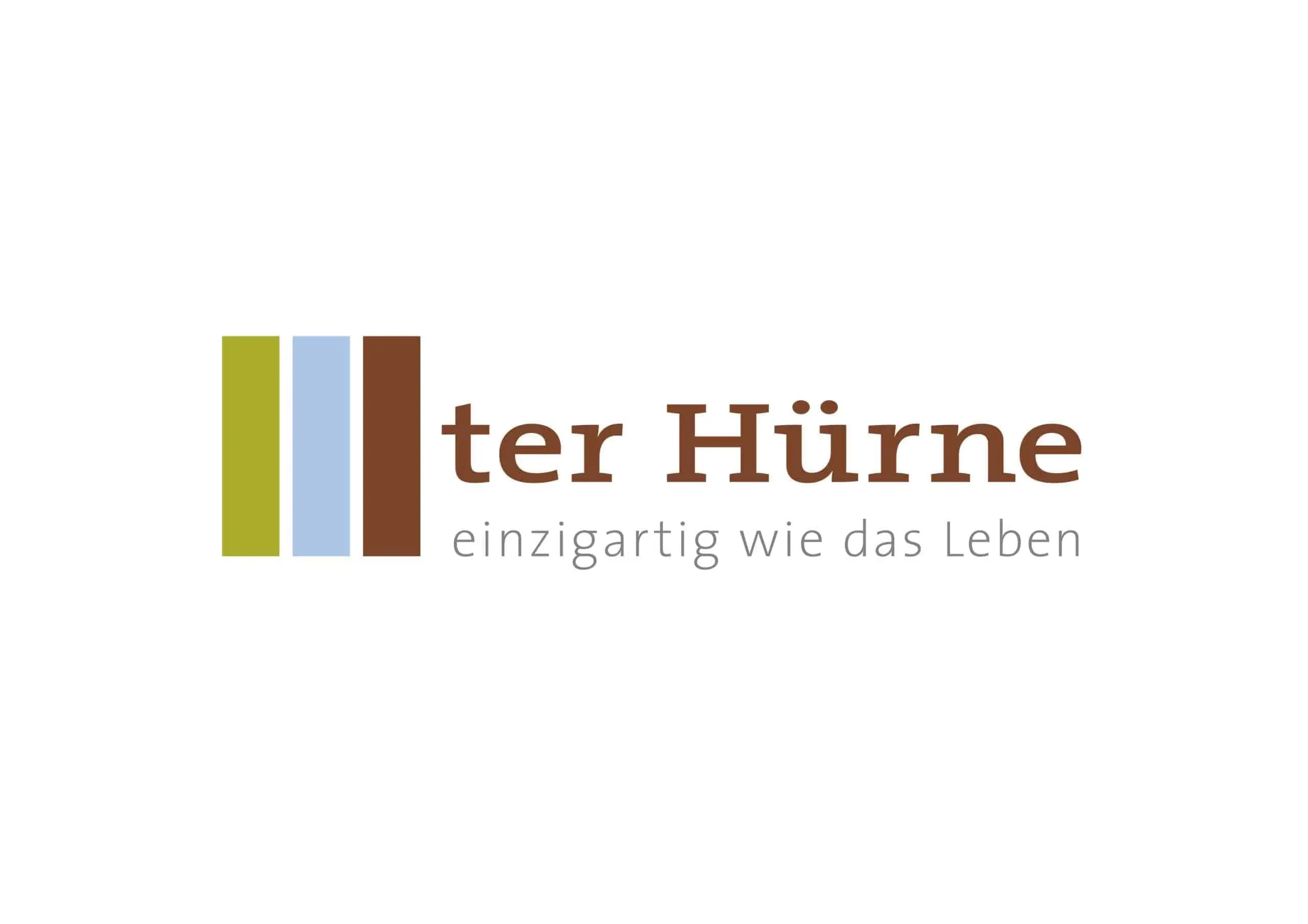 LOGO terHuerne 4cRZ DE 1 scaled 1