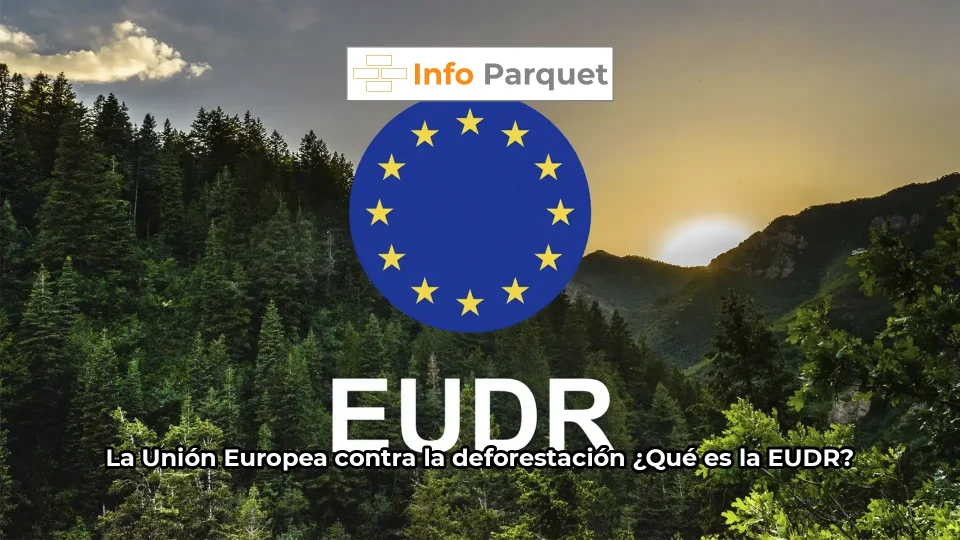 La Unión Europea contra la deforestación ¿Qué es la EUDR?