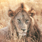 random image 65ee84a36b2b47.98406884.jpg